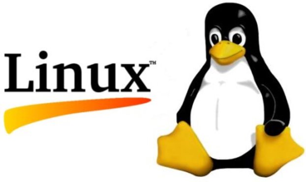 Comment monter son ordinateur pour Linux ?